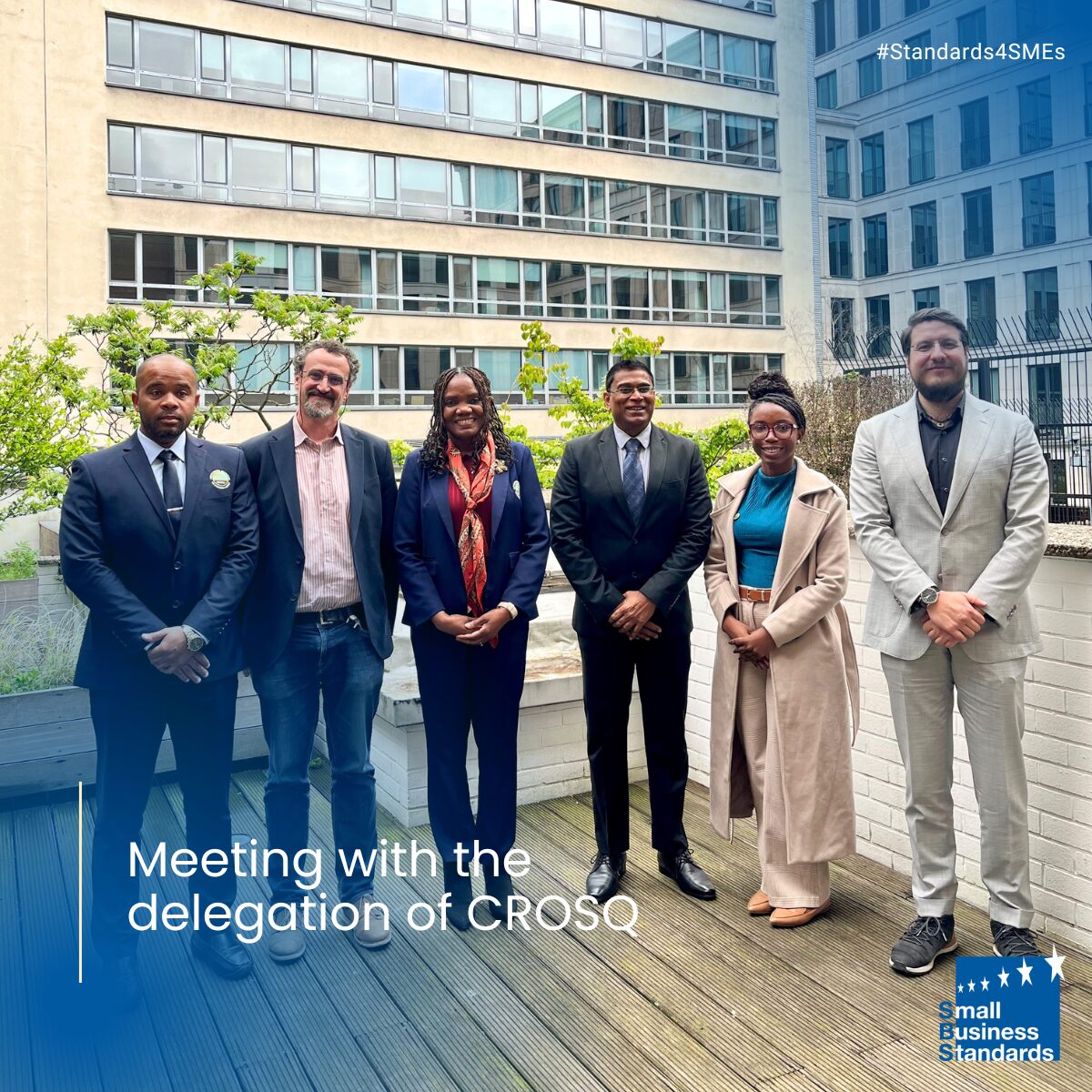 Six professionals in business attire pose on a rooftop with city buildings behind; '#Standards4SMEs' and Small Business Standards logo visible.