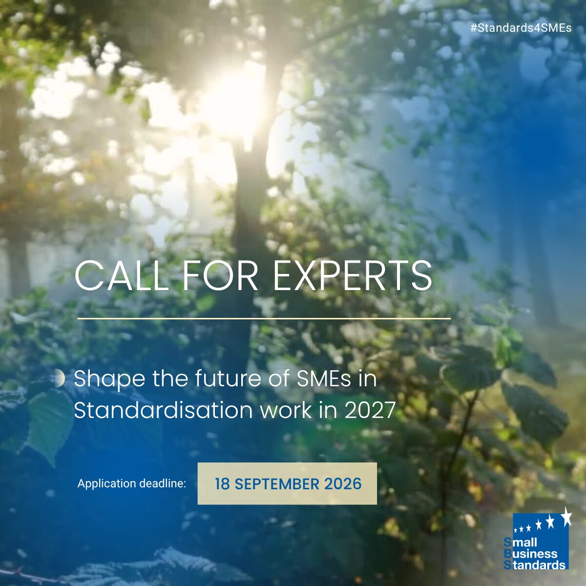Call for Experts 2027 3 • SBS • SBS